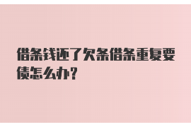 永年为什么选择专业追讨公司来处理您的债务纠纷？